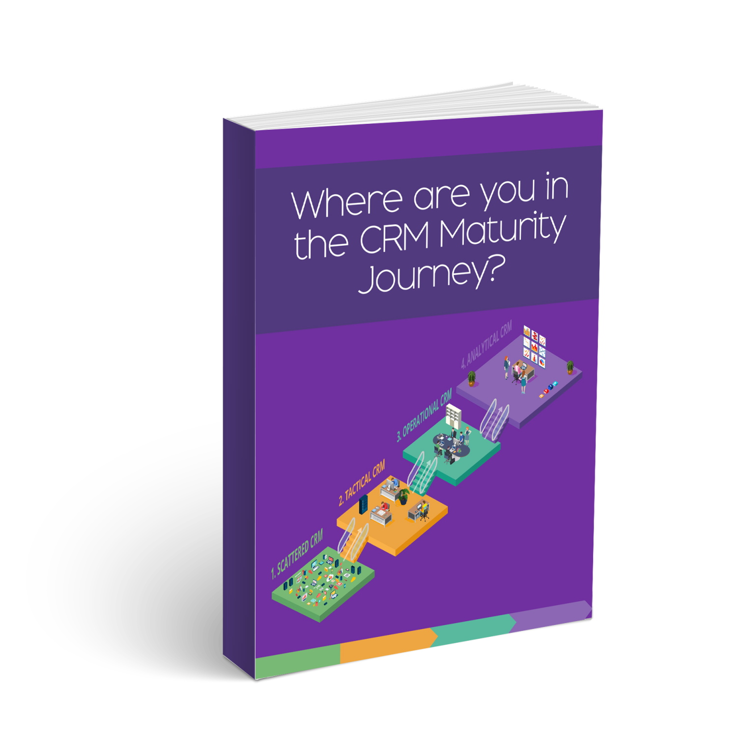 The CRM maturity journey